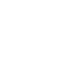 Save Icon