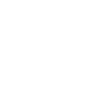 Fonts