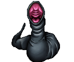 Belly Leech