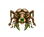 Fighting Ant