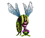 Mosquito
