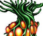 Neo Kaitonia