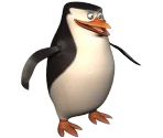 Skipper