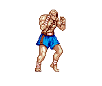 Sagat