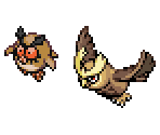 Hoothoot & Noctowl