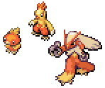 Torchic, Combusken & Blaziken