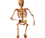 Skeleton