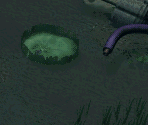 Geko Swamp (Night)