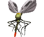 Mosquito