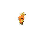 #255 Torchic (male)