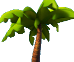 Palm Tree