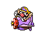 Wario