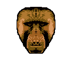 Baboon