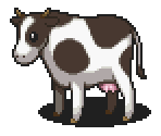 Cow (Black & White)