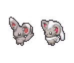 Minccino & Cinccino