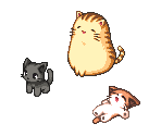 Cats