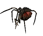 Spider Demon