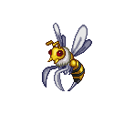 Wasp