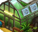 Greenhouse