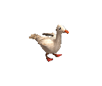 Goose