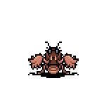 Mole Cricket