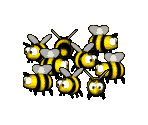 Bees