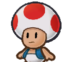 Toad