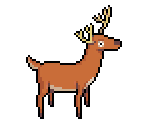 Deer