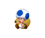 Toad (Blue)