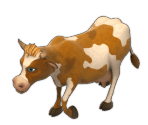 Cow