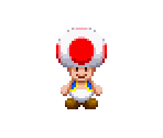 Toad