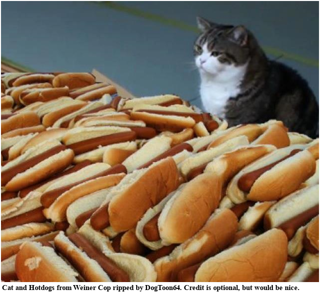 Cat & Hotdogs