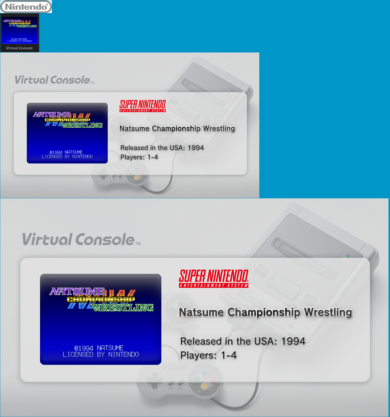 Virtual Console - Natsume Championship Wrestling
