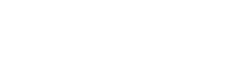 Duolingo - Logo