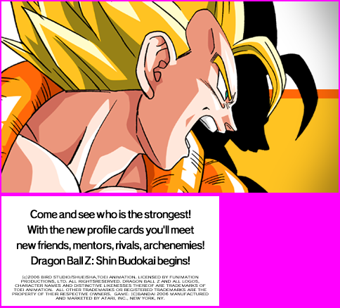 Dragon Ball Z Shin Budokai - Banner