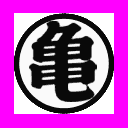 Dragon Ball Z Shin Budokai - Turtle Kanji