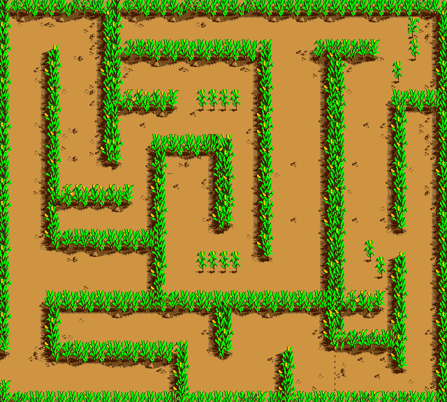 Maize Maze