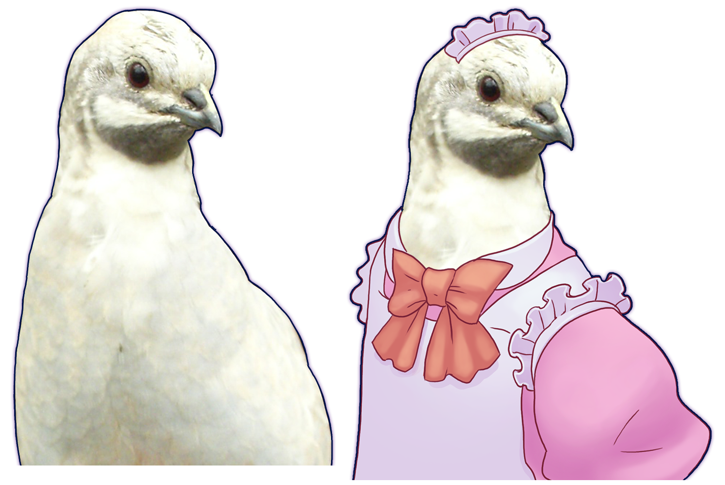 Hatoful Boyfriend - Nanaki