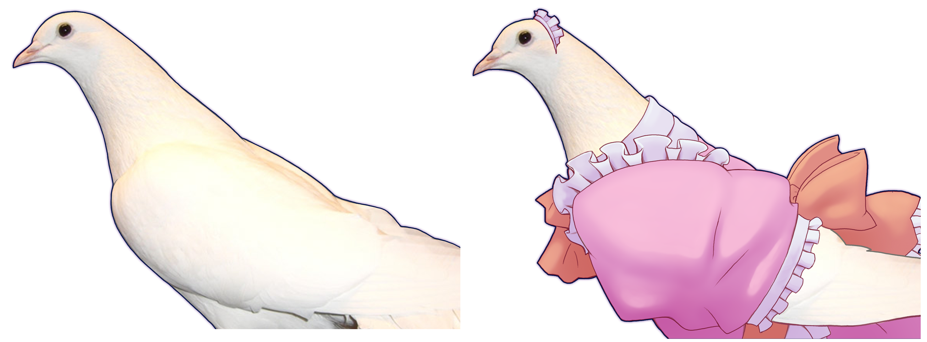 Hatoful Boyfriend - Okosan