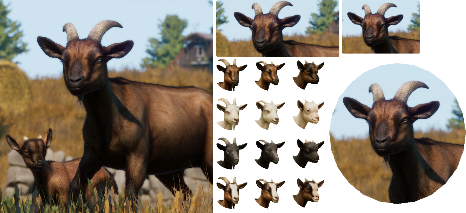 Planet Zoo - Alphine Goat