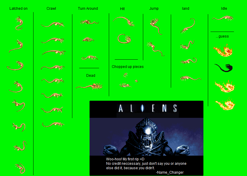 Alien vs. Predator - Face Hugger