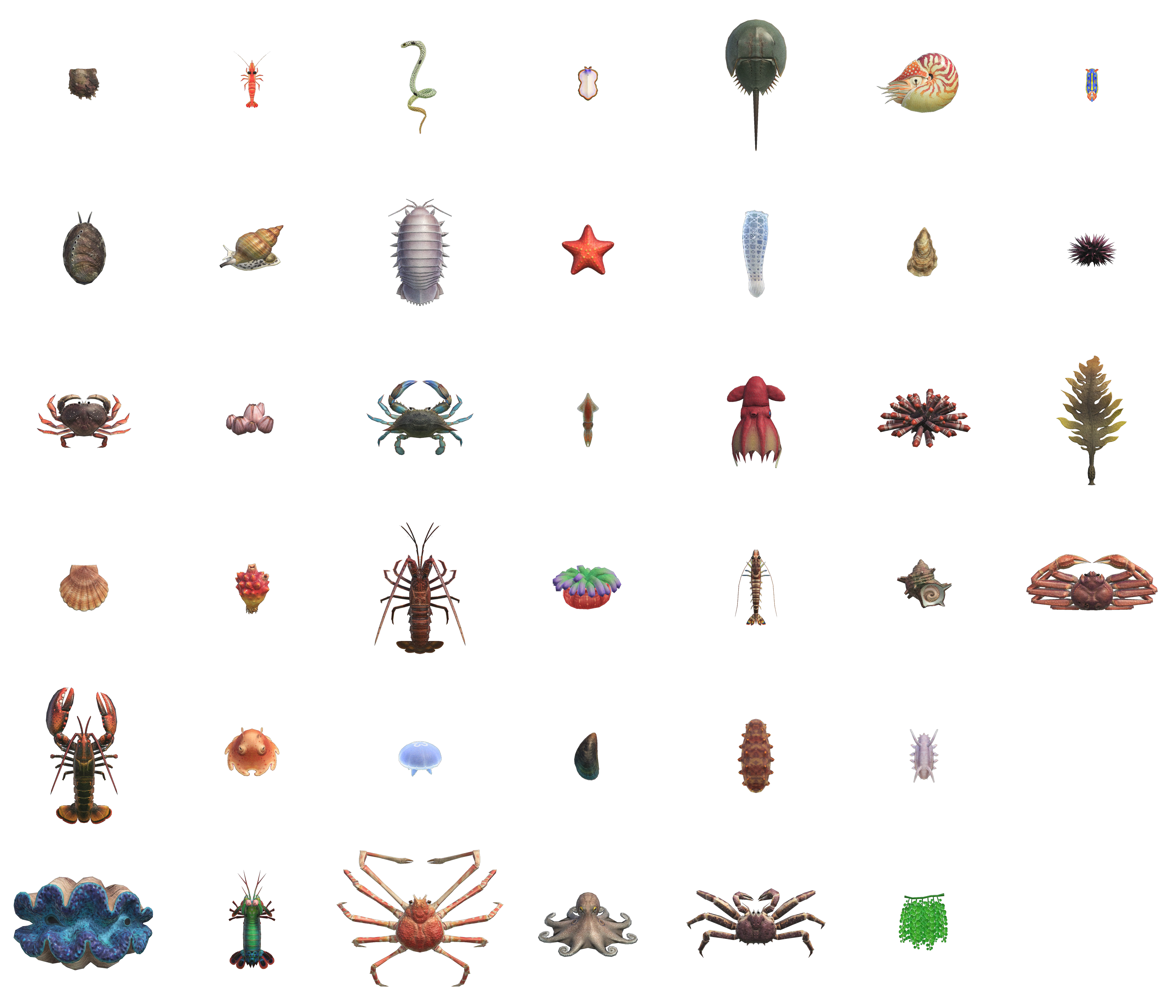 Sea Creatures