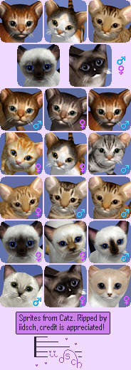 Cat Breeds