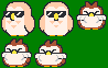 Owl NPCS