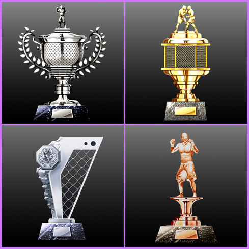 Trophy Icons