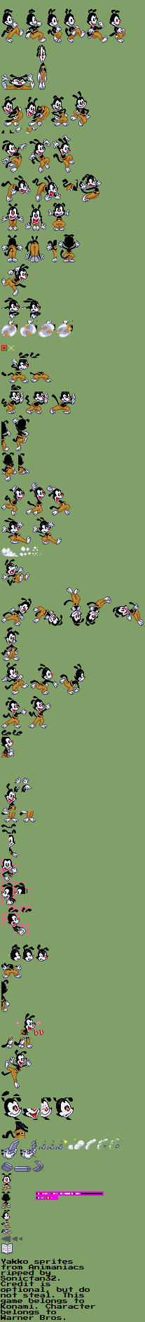 Yakko Warner