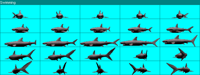 Shark