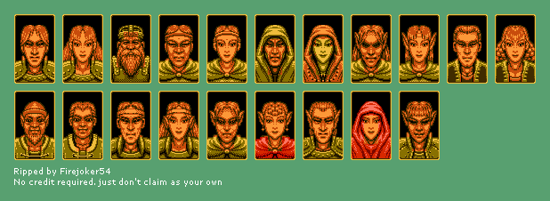 Advanced Dungeons & Dragons: Pool of Radiance - Player Portraits