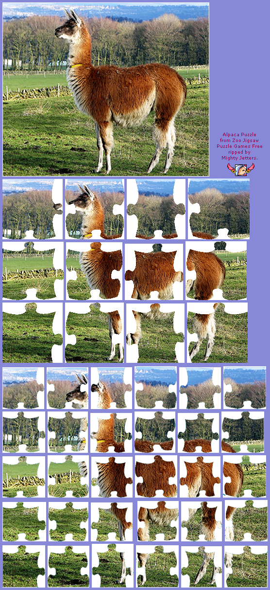 Zoo Jigsaw Puzzles Games Free - Alpaca